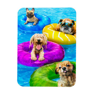 Hunde-Poolparty Magnet