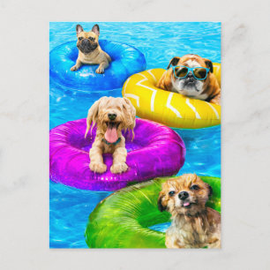 Hunde-Poolparty Postkarte