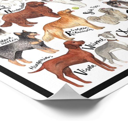 Hunde Poster (Ecke)