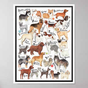 Hunde Poster