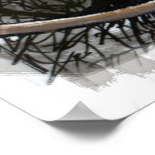 Hunde: Poster (Ecke)