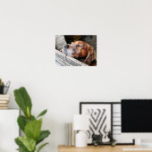 HUNDE POSTER (Heimbüro)