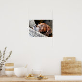 HUNDE POSTER (Küche)