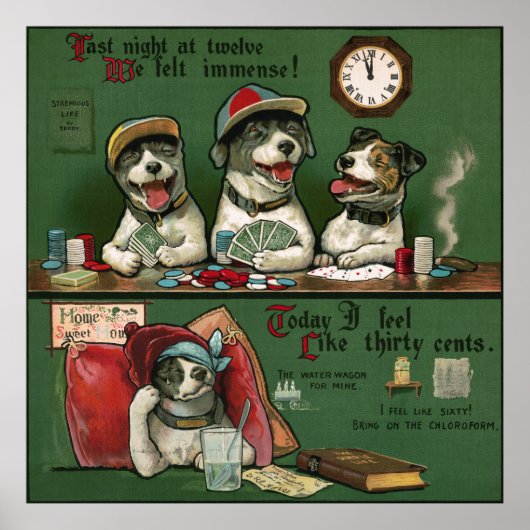 Hunde Poster (Vorne)