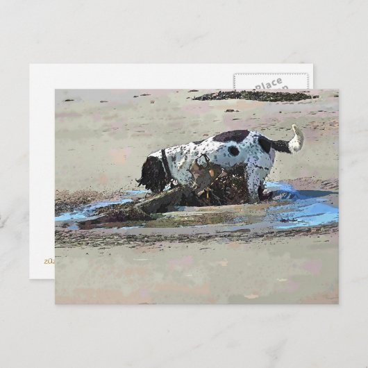 HUNDE POSTKARTE (Vorne/Hinten)