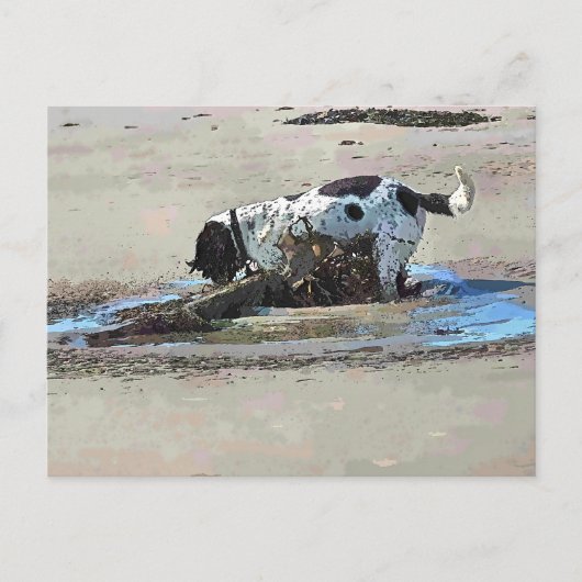 HUNDE POSTKARTE (Vorderseite)