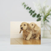 Hunde Postkarte (Stehend Vorderseite)