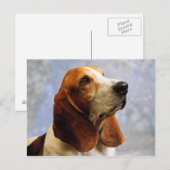 Hunde Postkarte (Vorne/Hinten)
