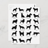 Hunde Postkarte (Vorne/Hinten)
