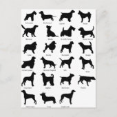 Hunde Postkarte (Vorderseite)