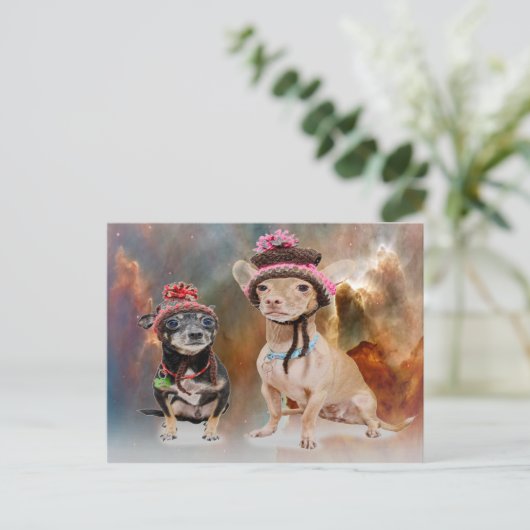 Hunde Postkarte (Stehend Vorderseite)