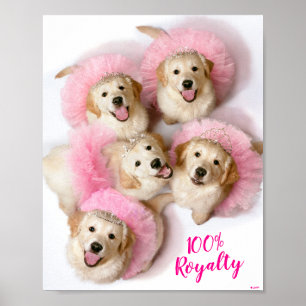 Hunde Prinzessin in Tiaras Poster