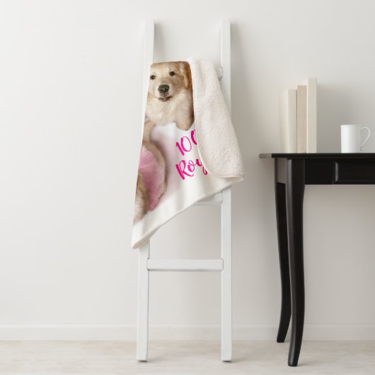 Hunde Prinzessin in Tiaras Sherpadecke (Beispiel)