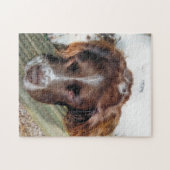 HUNDE PUZZLE (Horizontal)