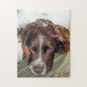 HUNDE PUZZLE (Vertikal)