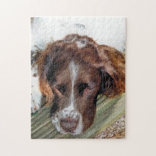 HUNDE PUZZLE (Vertikal)