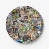 Hunde-Rassen-FotoCollage, Pappteller (Vorderseite)