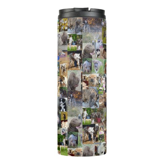 Hunde-Rassen-FotoCollage, Thermosbecher (Rückseite)