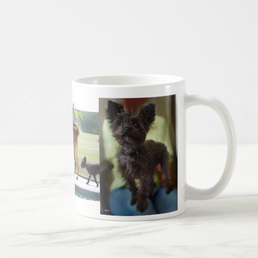 Hunde-Regel-Tasse Kaffeetasse (Rechts)