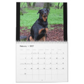 Hunde Rottweiler und Pitbull Hund Kalender (Feb 2027)