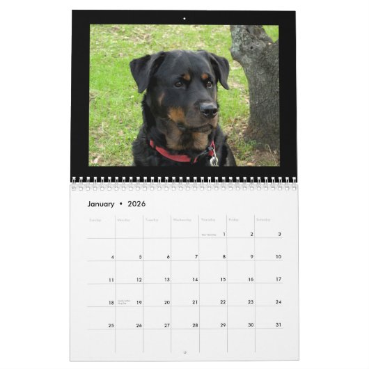 Hunde Rottweiler und Pitbull Hund Kalender (Jan 2026)
