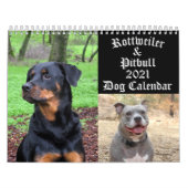 Hunde Rottweiler und Pitbull Hund Kalender (Titelbild)