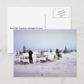 Hunde ruhen, Churchill, Manitoba Postkarte (Vorne/Hinten)