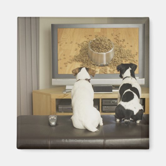 Hunde schauen Hundegericht mit Essen im Fernsehen Magnet (Vorne)