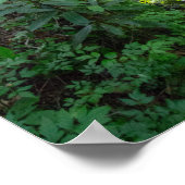 Hunde-Schlachthof, Kentucky Poster (Ecke)