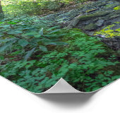 Hunde-Schlachthof, Kentucky Poster (Ecke)