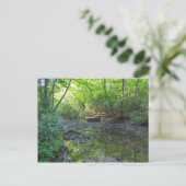 Hunde-Schlachthof, Kentucky Postkarte (Stehend Vorderseite)