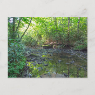 Hunde-Schlachthof, Kentucky Postkarte