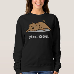 Hunde schlafen Lazy Puppy Owner Kälte Paw Iatlia Sweatshirt