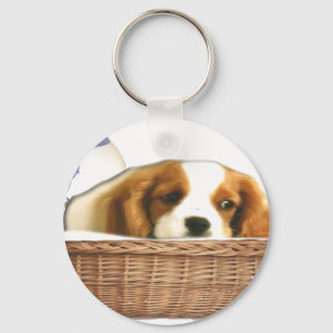 Hunde Schlüsselanhänger