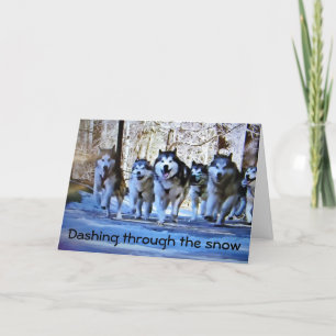 HUNDE SCHNEE DASCHEN, FÜR CHRISTMAS FEIERTAGSKARTE
