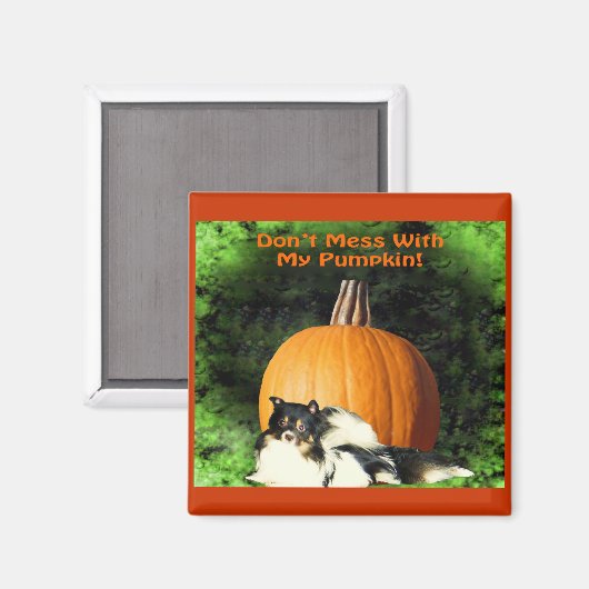 Hunde Schutz großer Pumpkin Magnet (Vorderseite/Rückseite)