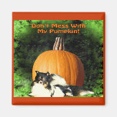 Hunde Schutz großer Pumpkin Magnet (Vorne)