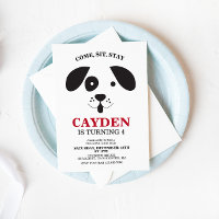 Hunde schwarz-weiße Flecke Geburtstag