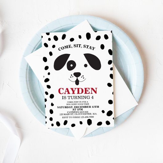 Hunde schwarz-weiße Stelle Geburtstag Einladung
