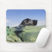 Hunde schwimmen im Wasser Mousepad (Mit Mouse)