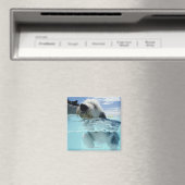 Hunde Schwimmen in einem Pool Magnet (In Situ (Geschirrspüler))