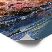 Hunde schwimmen poster (Ecke)