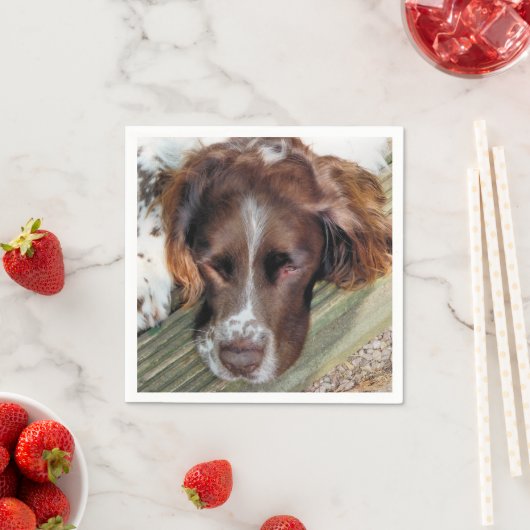 HUNDE SERVIETTE (Beispiel)