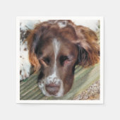 HUNDE SERVIETTE (Vorderseite)