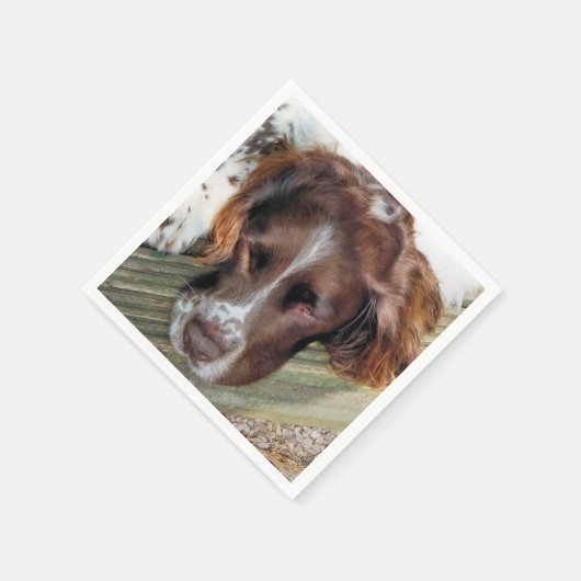 HUNDE SERVIETTE (Ecke)