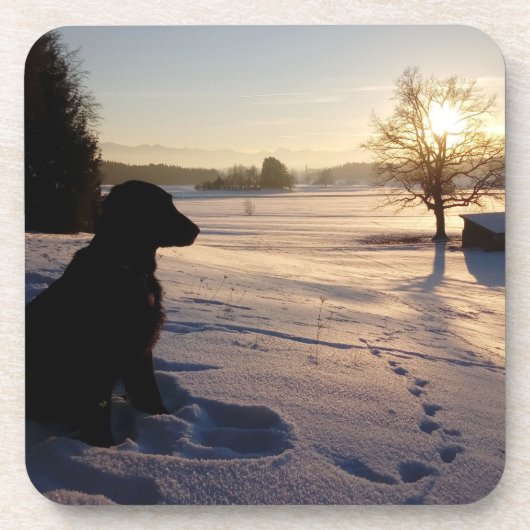 Hunde-Silhouette in Snowy Landschaft Getränkeuntersetzer (Vorderseite)
