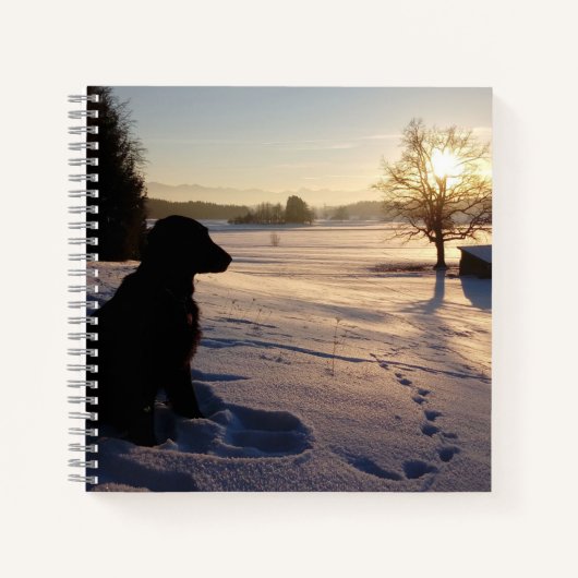 Hunde-Silhouette in Snowy Landschaft Notizblock (Vorderseite)
