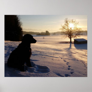 Hunde-Silhouette in Snowy Landschaft Poster