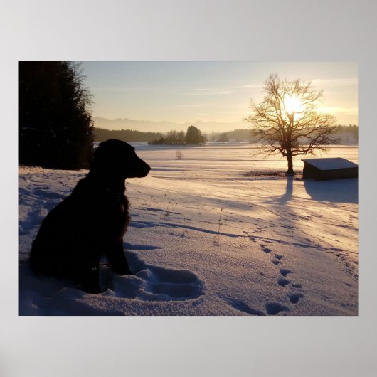 Hunde-Silhouette in Snowy Landschaft Poster (Vorne)
