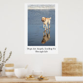 Hunde sind Engel Poster (Küche)